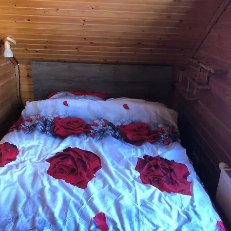 Inni Jaerve Puhkemaja Vidriku Asundus Extérieur photo